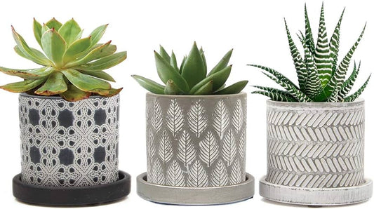 Balter 3" Planter Pot w/ Saucer