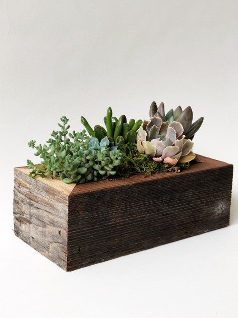 2x6 Reclaimed Wood Threesie Planter Box