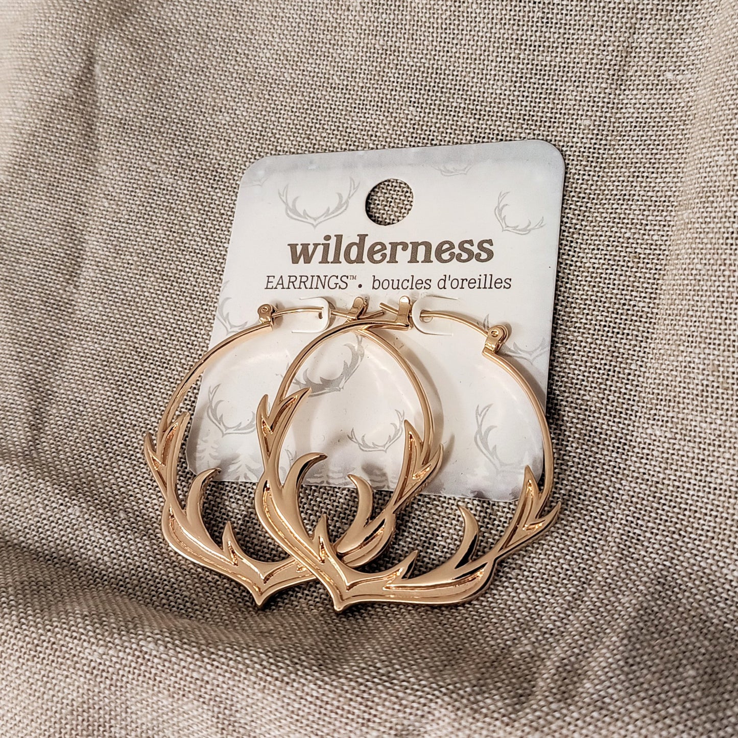 Alloy/Brass Hoop Earrings